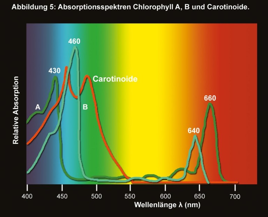 Pflanzen Trilogie Teil 1 EasyLife