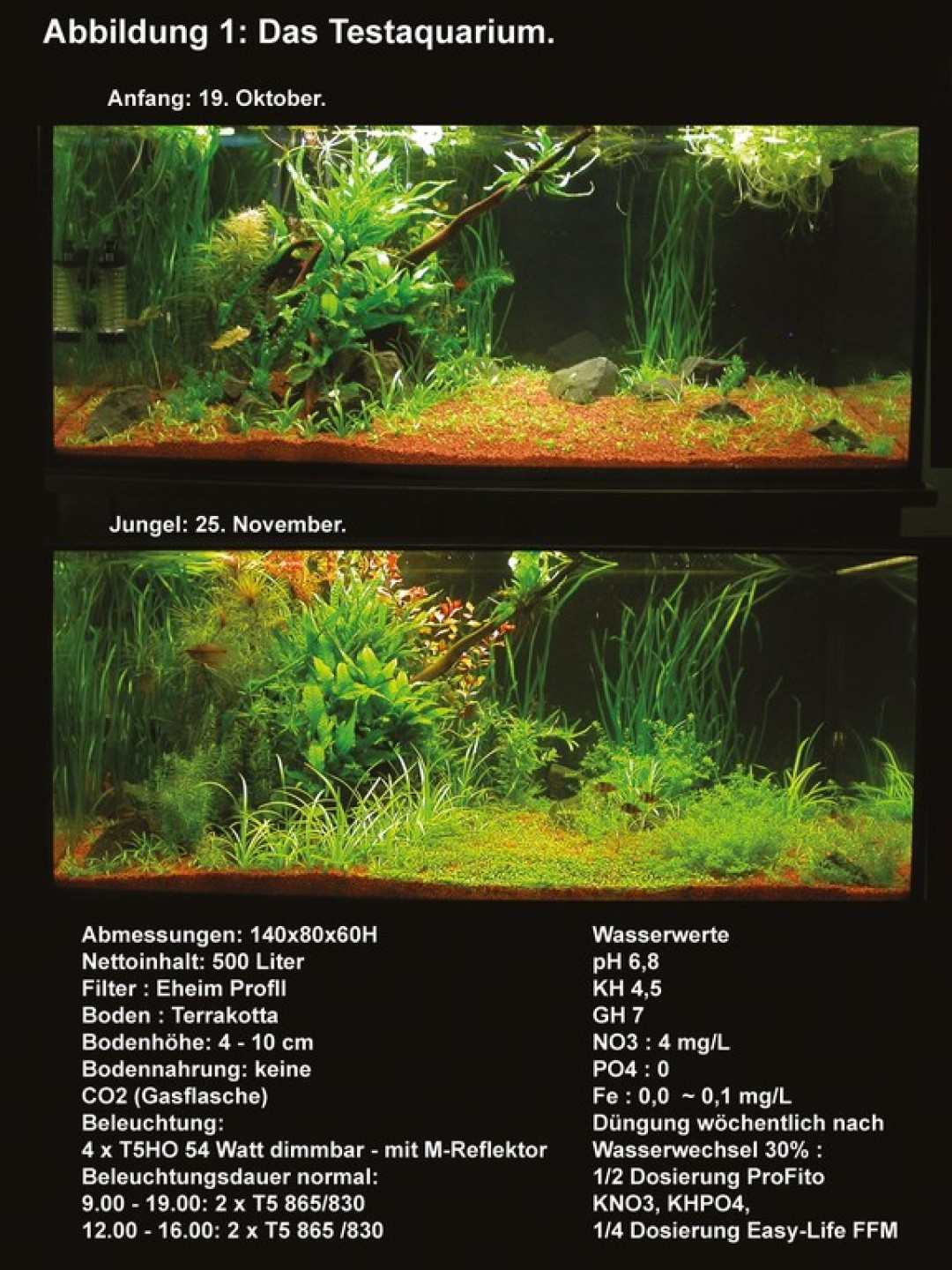 Aquarium Pflanzen Die Aus Dem Wasser Wachsen thenymphisnotexist