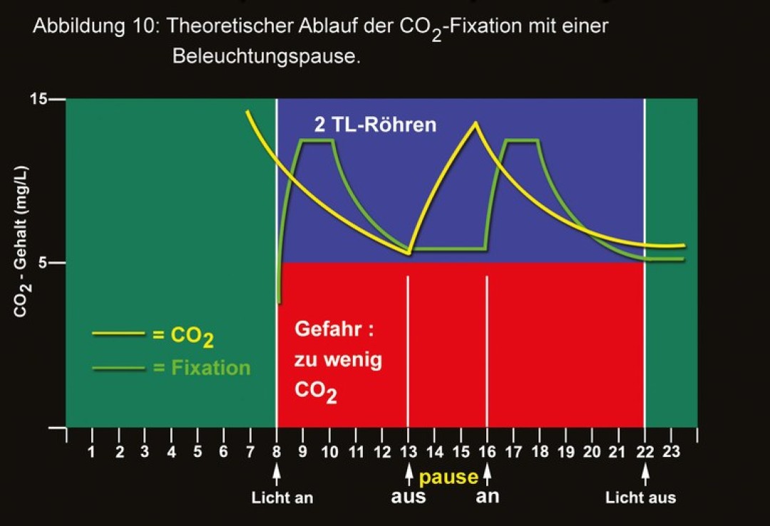 CO2-Düngung - Warum sie wichtig ist und wie es geht