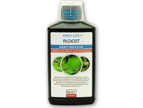 AlgExit